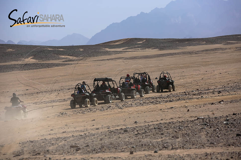 Safari mattutino in dune buggy polaris RZR Hurghada