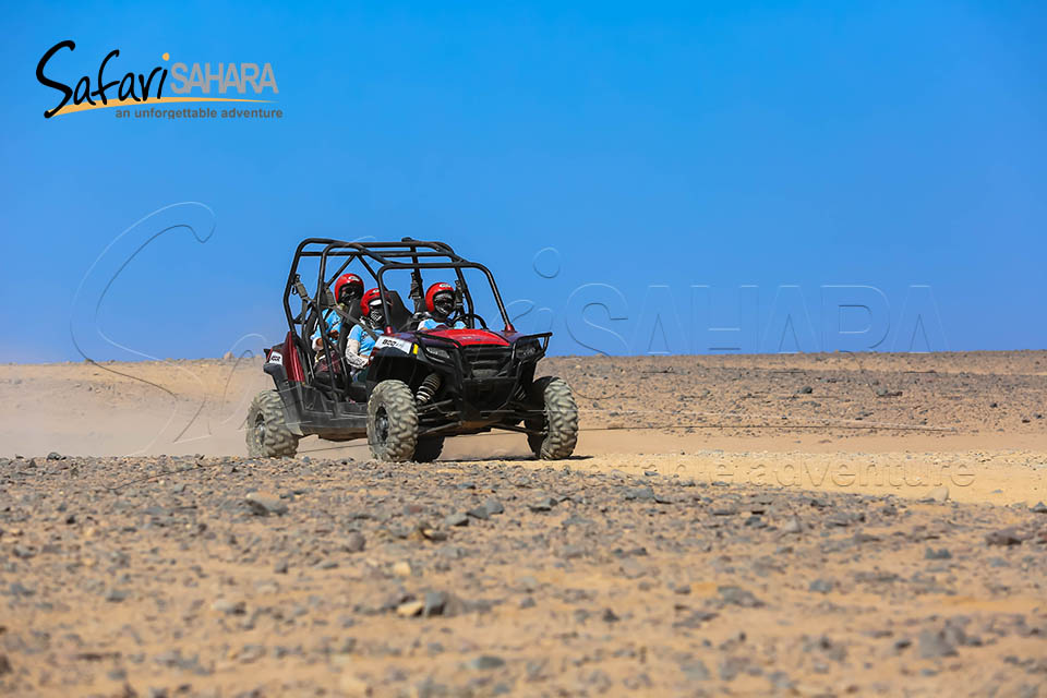 Safari mattutino in dune buggy polaris RZR Hurghada