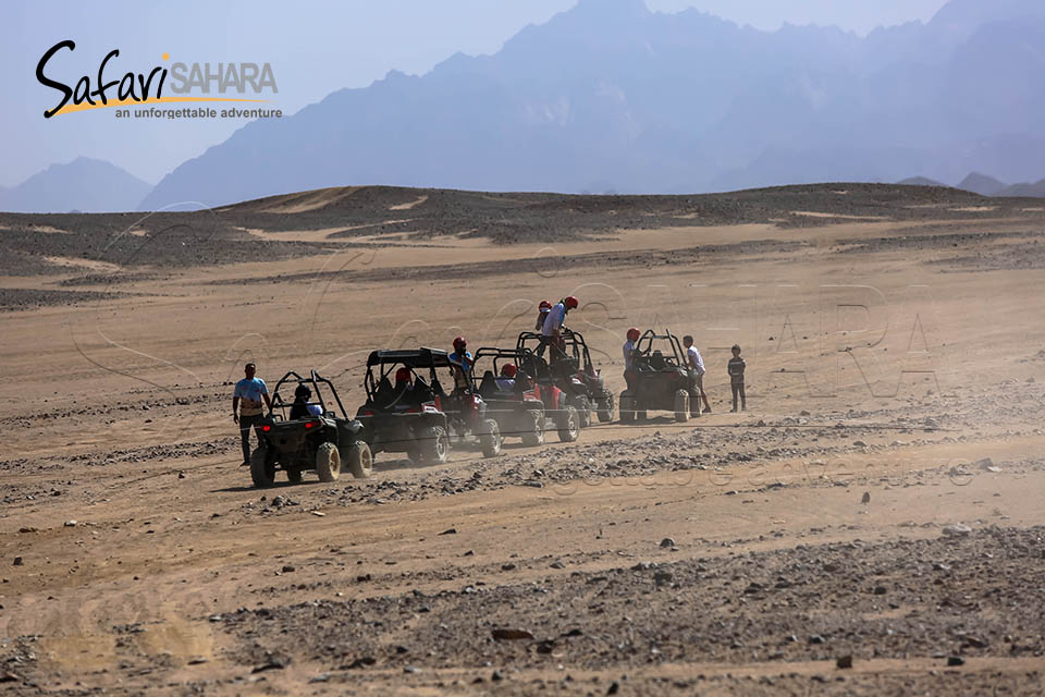 Gita mattutina in dune buggy Polaris RZR a Sharm