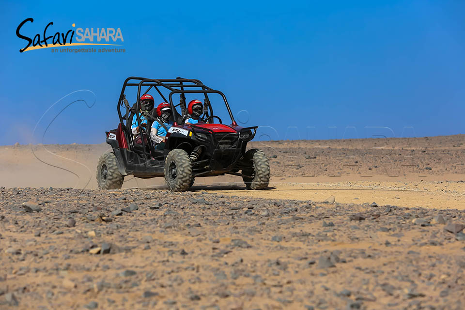 Gita mattutina in dune buggy Polaris RZR a Sharm