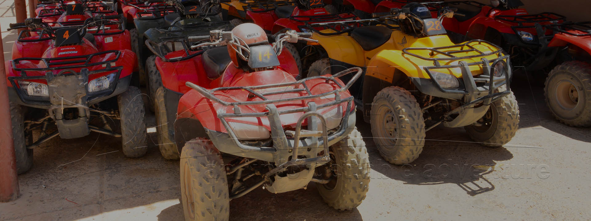 Hurghada quad in bicicletta