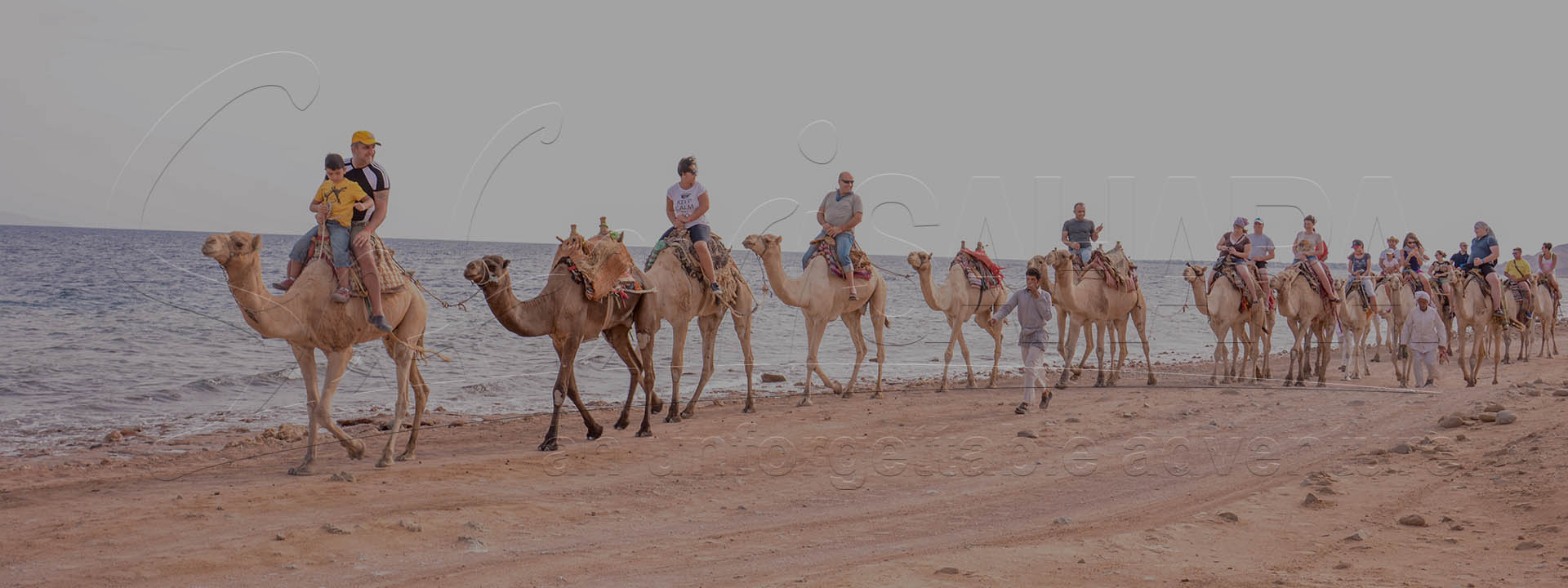 Sharm El Sheikh Desert Trip