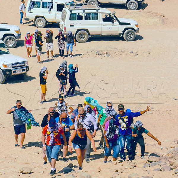 Safari nel deserto della baia di Soma